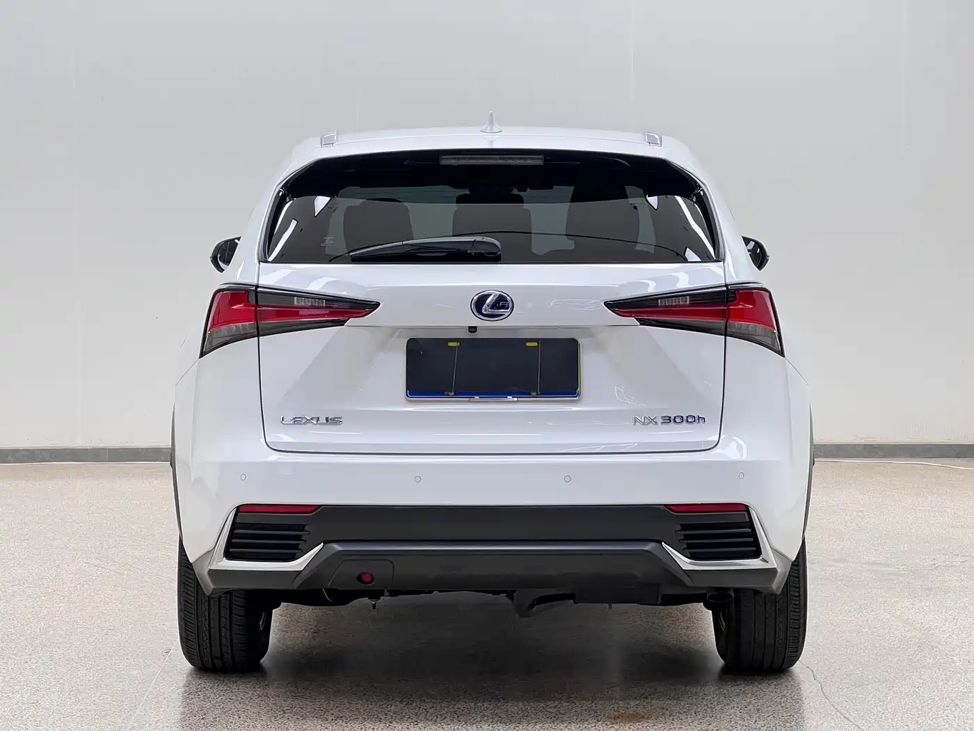 Lexus NX 2020 300h FWD F Sport China VI фото 6