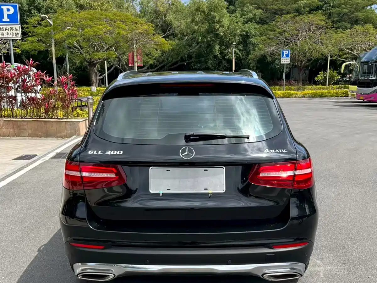 Mercedes-Benz GLC 2016 GLC 300 4MATIC Luxury фото 8