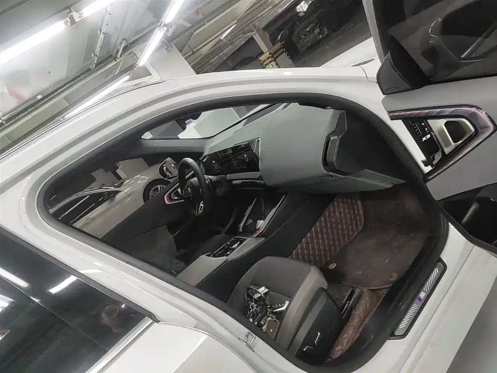 BMW X3 2025 xDrive30L Leading M Sport Package фото 11