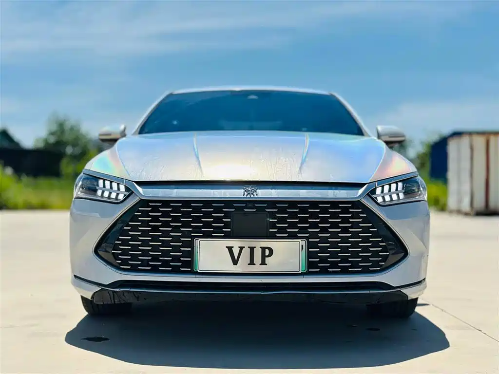 BYD Qin PLUS 2023 Champion Edition DM-i 120KM Excellence фото 2