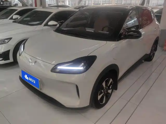 Wuling Motors Wuling Binguo PLUS 2024 Model 330km 5-Seater
