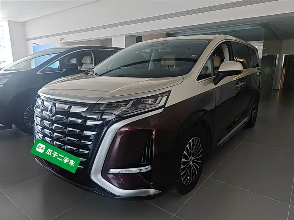 Denza D9 2024 DM-i 980 AWD Prestige фото 2