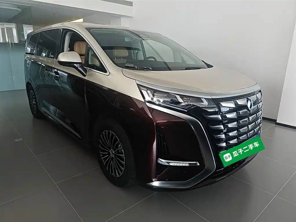 Denza D9 2024 DM-i 980 AWD Prestige фото 4