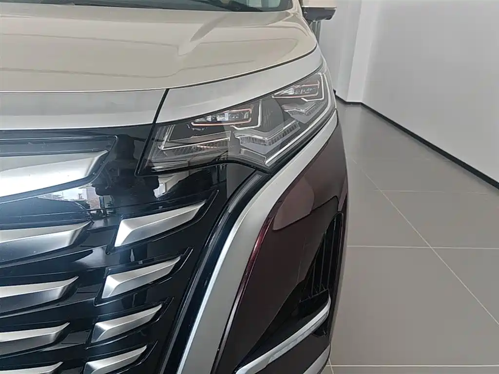 Denza D9 2024 DM-i 980 AWD Prestige фото 24