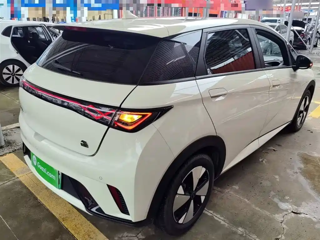 BYD Dolphin 2023 420km Fashion Edition фото 5
