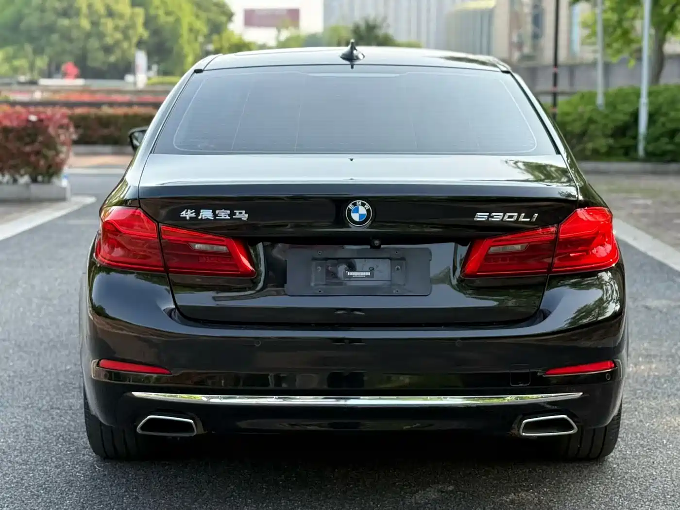 BMW 5 Series 2019 530Li Premium Luxury Package фото 4