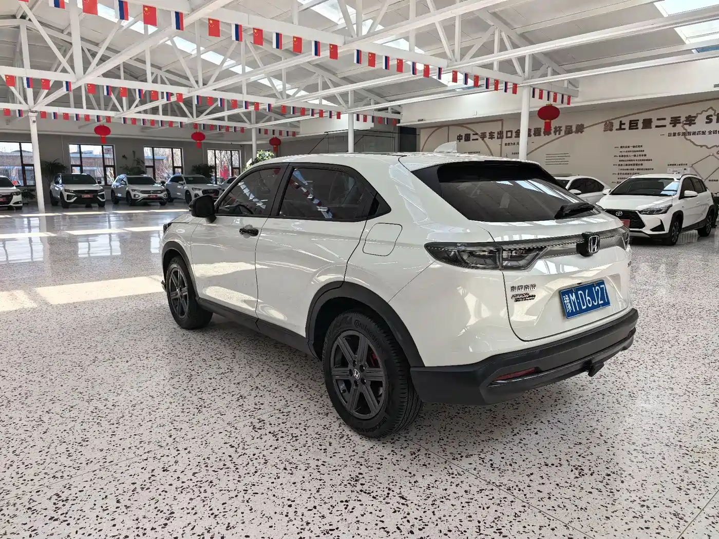  XR-V