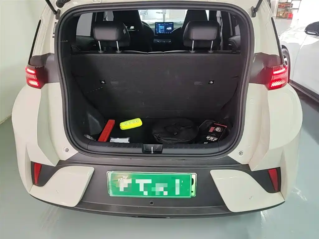 BYD Seagull 2025 Smart Drive Edition 305km Vitality Version фото 19