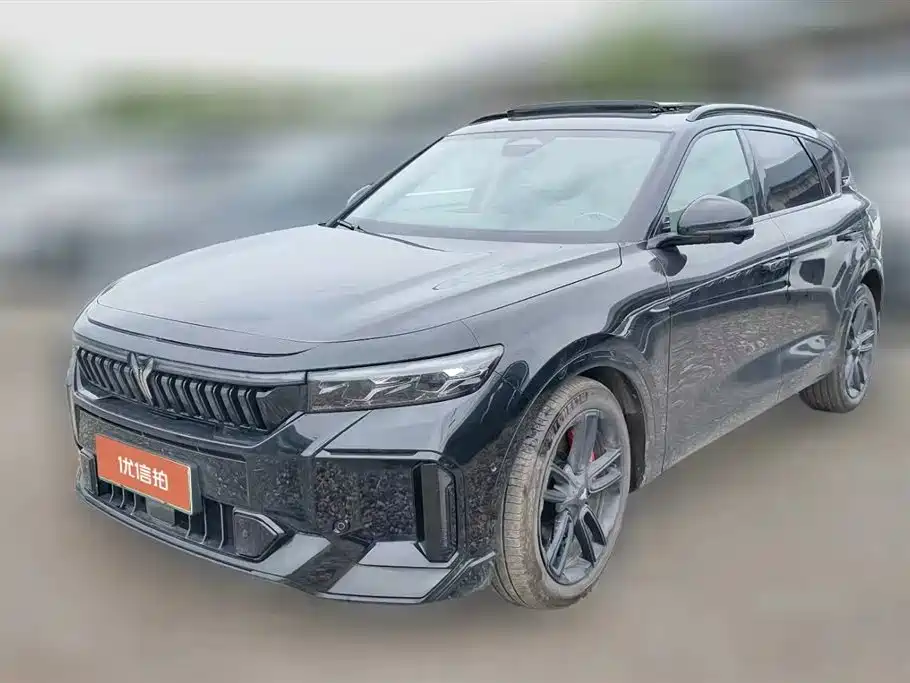 Voyah Auto VOYAH FREE 2025 318 318km RWD Touring Edition