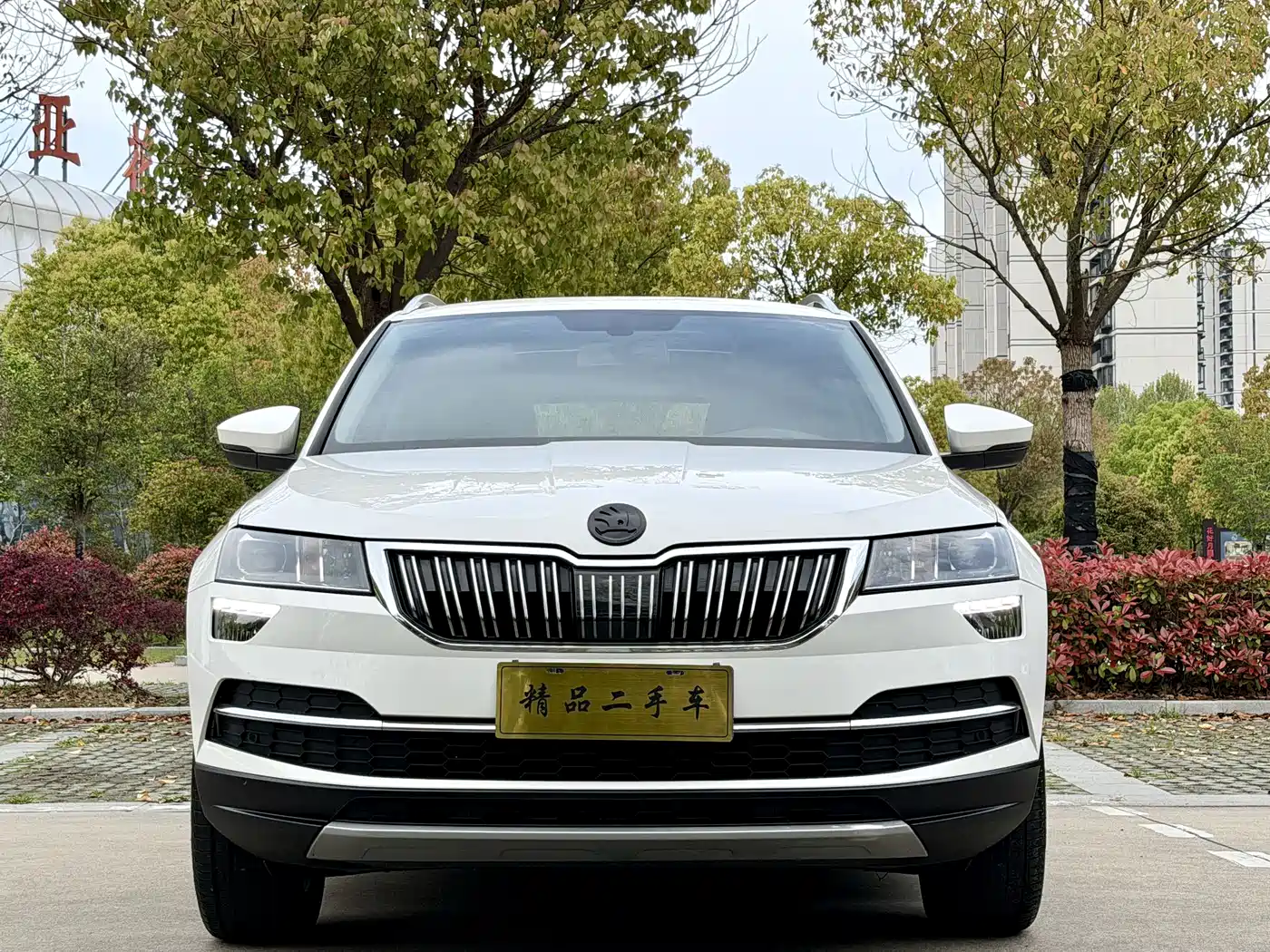Škoda Karoq 2019 TSI280 Smart Drive Luxury Edition China VI фото 2