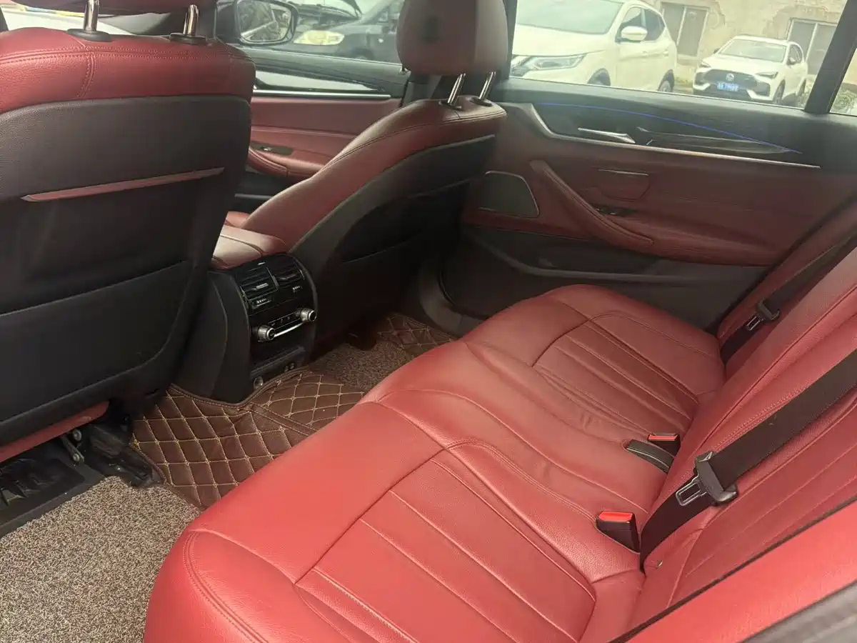 BMW 5 Series 2020 530Li Exclusive M Sport Package фото 22