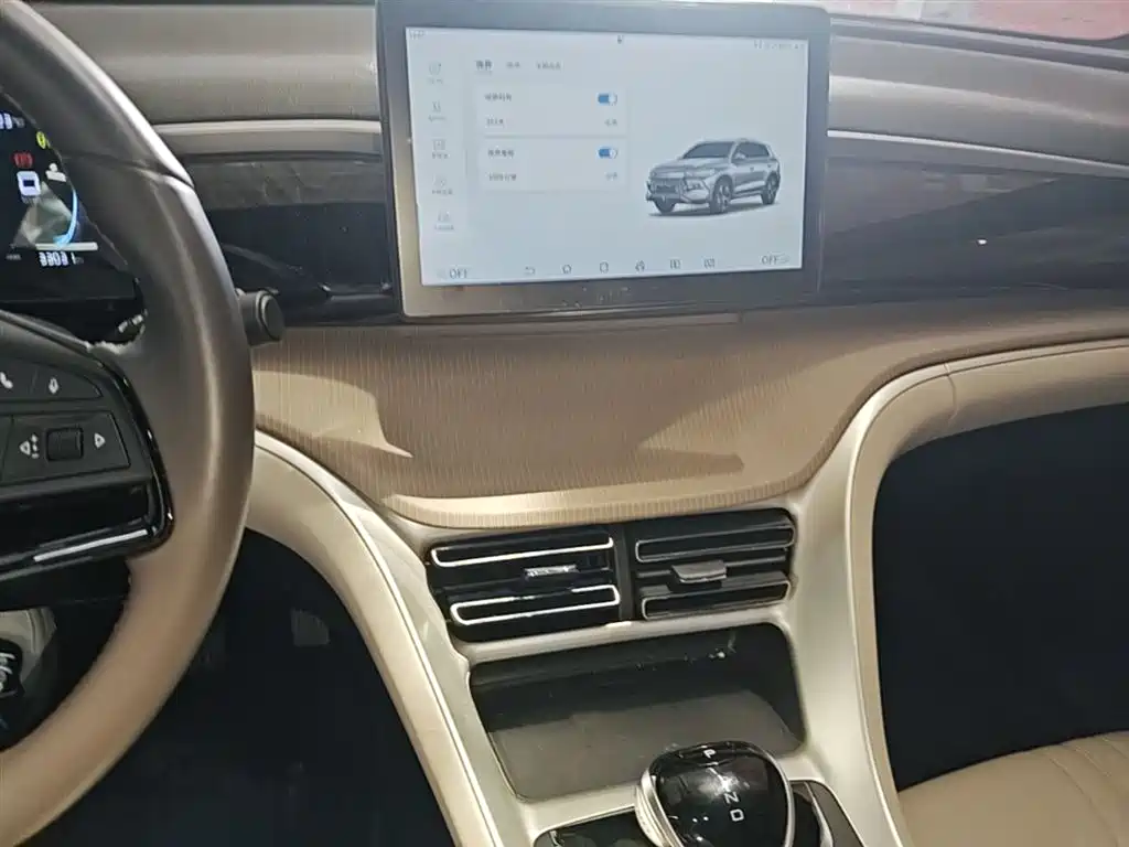BYD Song Pro New Energy 2024 Glory Edition DM-i 71KM Pilot фото 13