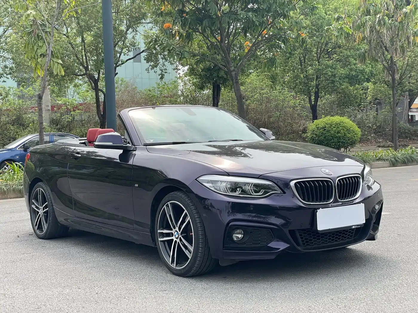 BMW 2 Series (Import) 2019 225i Convertible Coupe Exclusive M Sport Package фото 3
