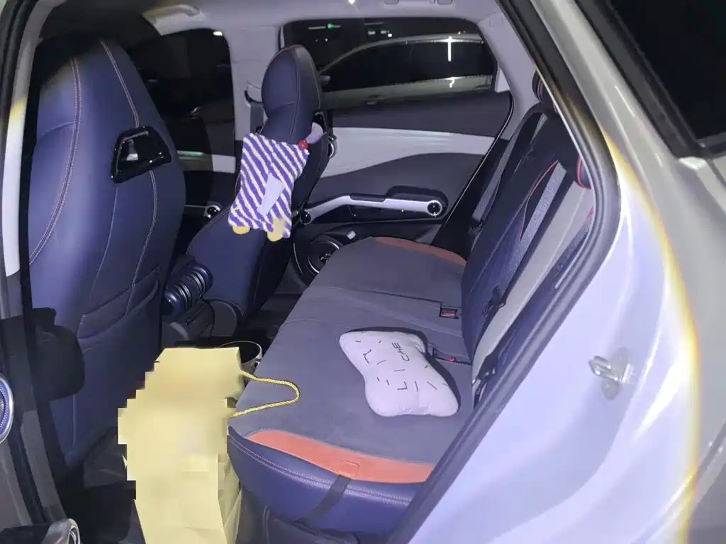 BYD Yuan PLUS 2022 430KM Premium 15