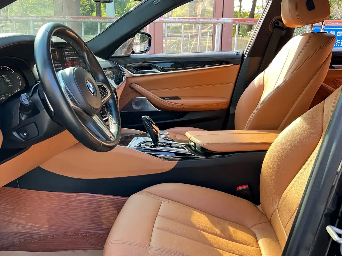 BMW 5 Series 2020 530Li Leading M Sport Package фото 16