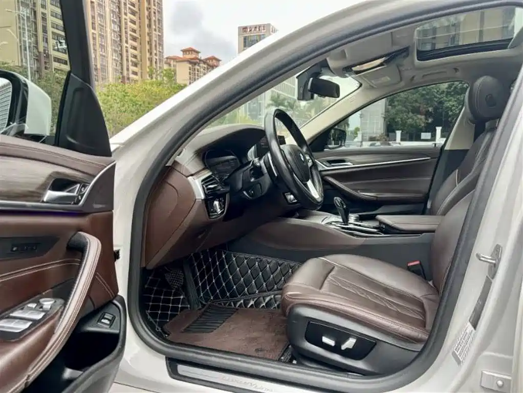 BMW 5 Series 2020 530Li Leading Luxury Package фото 4