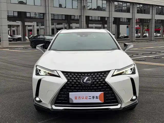 Lexus UX Electric 2020 300e Pure Yue Edition — фото 2
