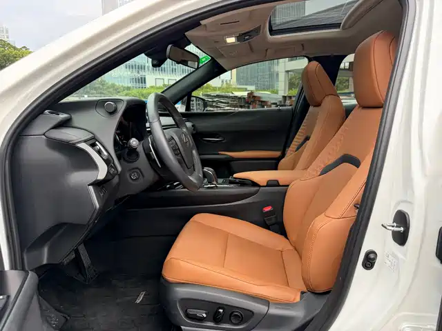 Lexus UX Electric 2020 300e Pure Yue Edition — фото 4