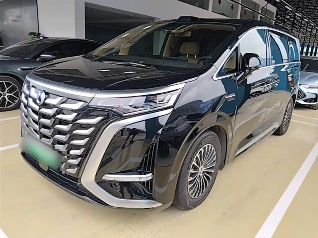 Denza D9 2024 DM-i 980 AWD Flagship