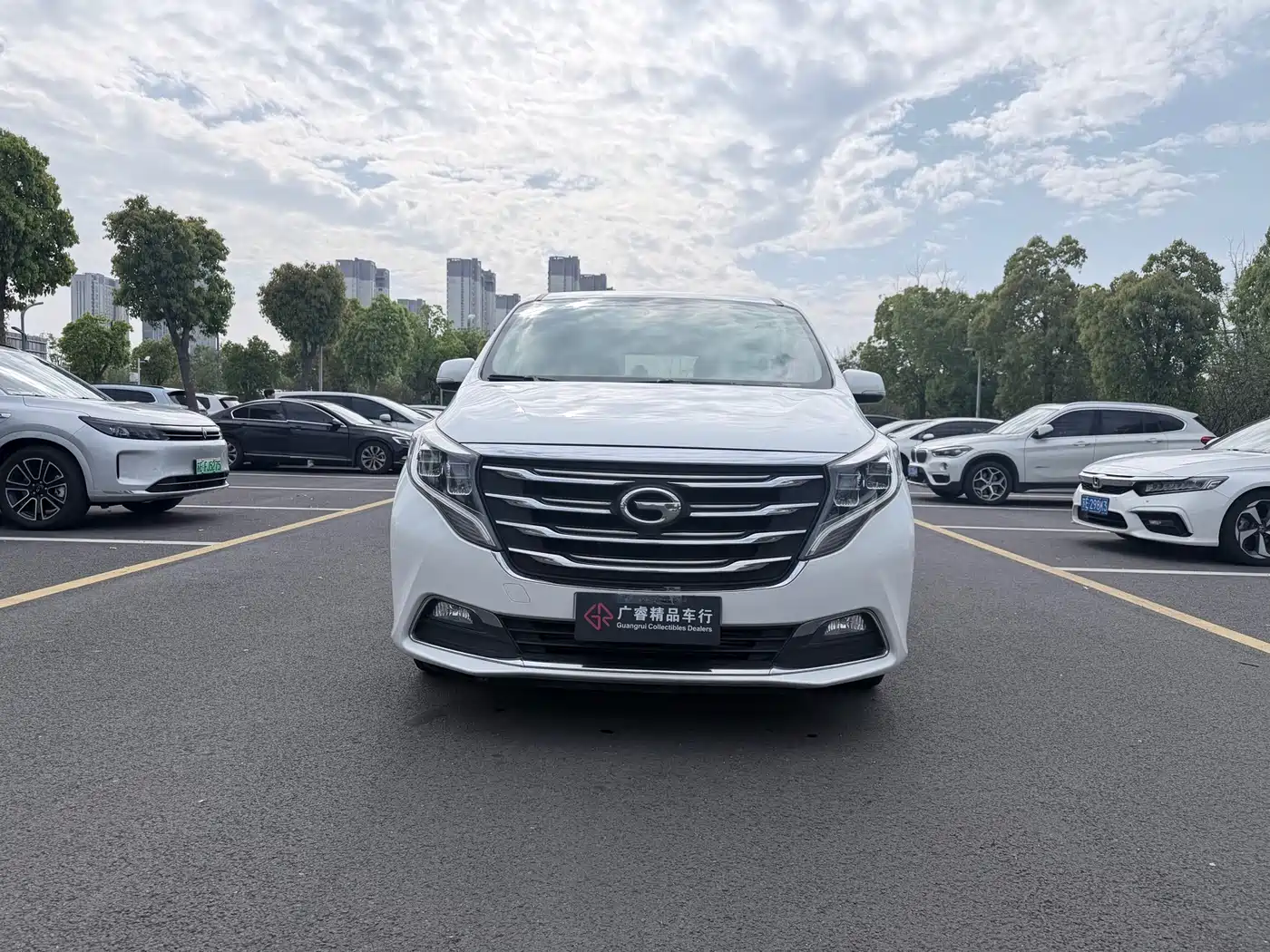 GAC Trumpchi Trumpchi M8 2018 320T Exclusive Edition фото 2