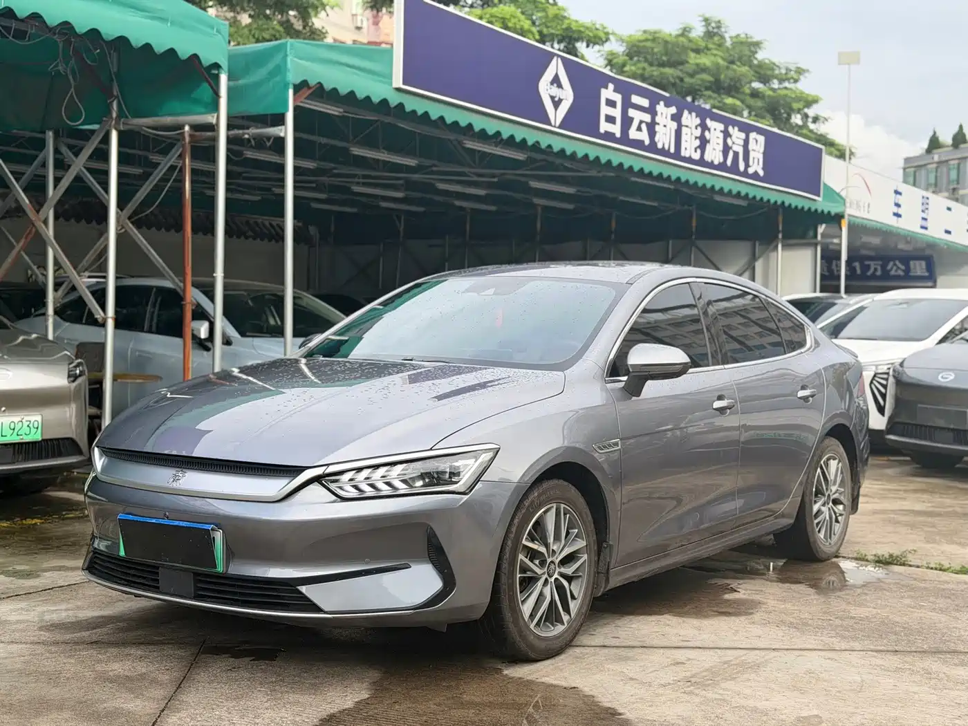 Фото 1 - BYD Qin PLUS