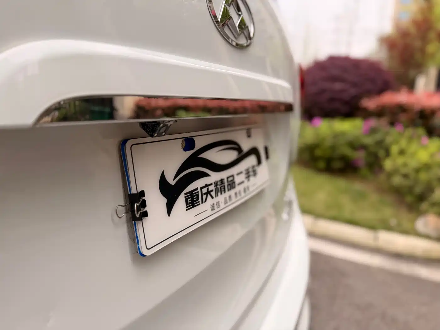 SAIC MAXUS CHASE G10