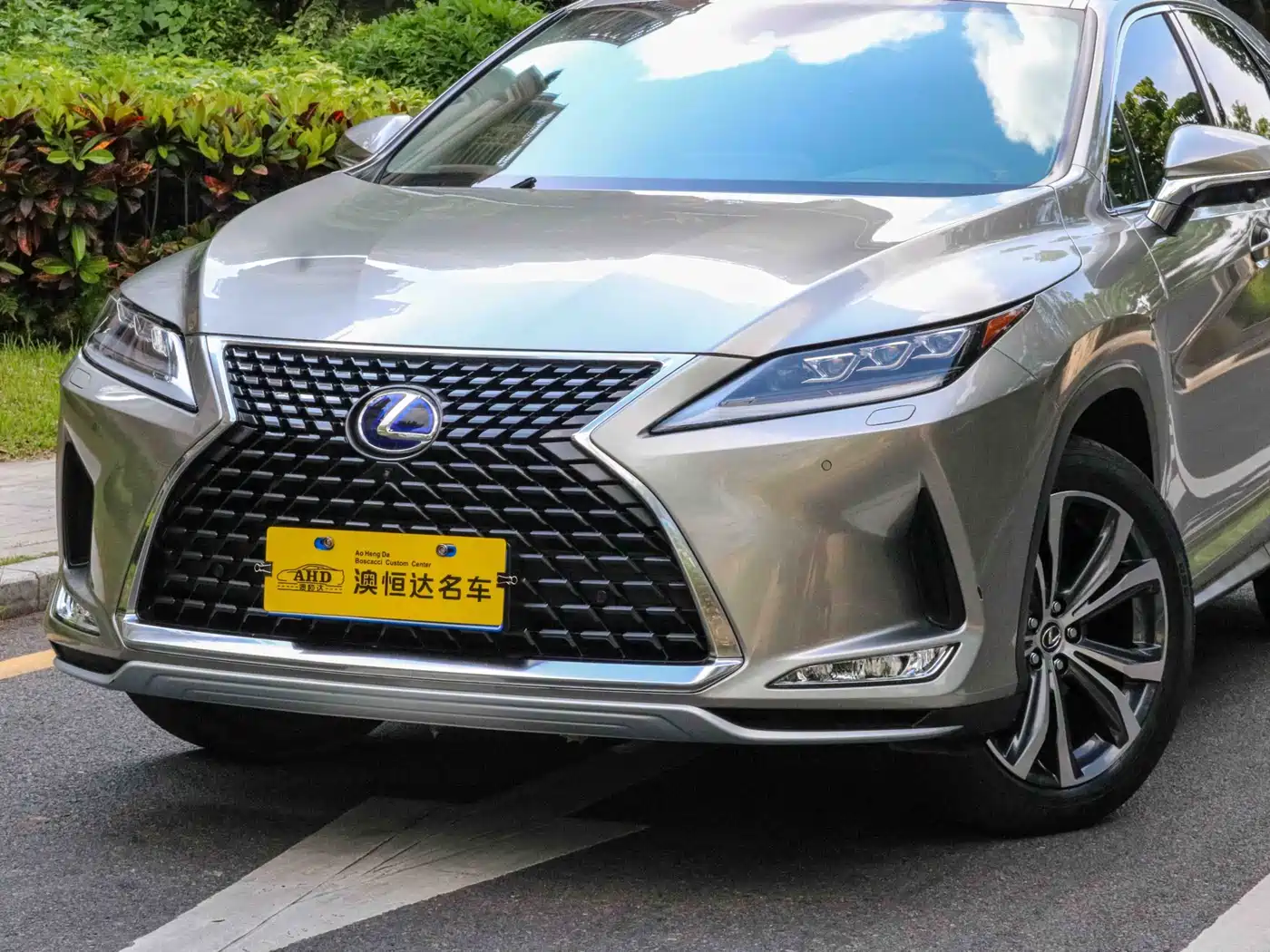 LEXUS RX