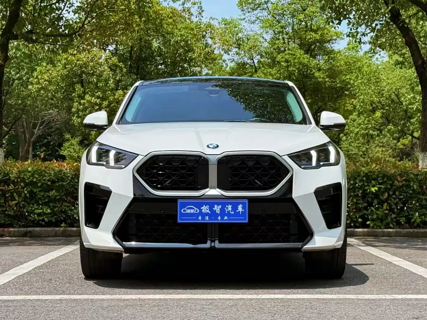 BMW X2 (Import) 2024 2024 sDrive25i M Sport Package