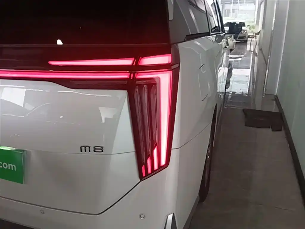 GAC Trumpchi Trumpchi M8 2023 Model Master Series 400T Flagship Edition фото 8