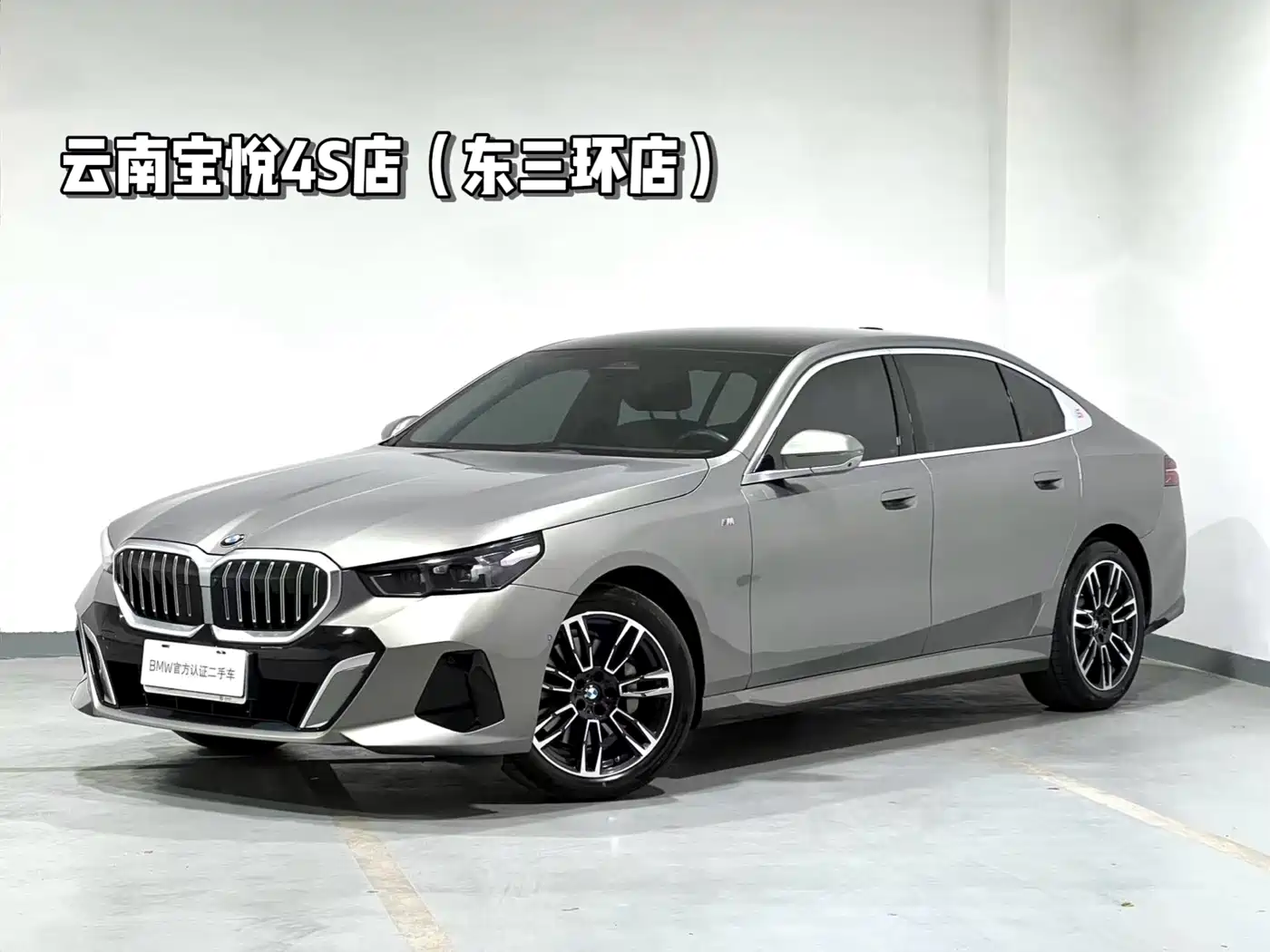 BMW 5 Series 2024 530Li Leading M Sport Package