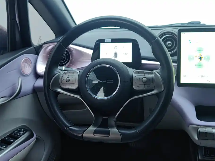 BYD Dolphin 2021 Model 405km Fashion Edition фото 15