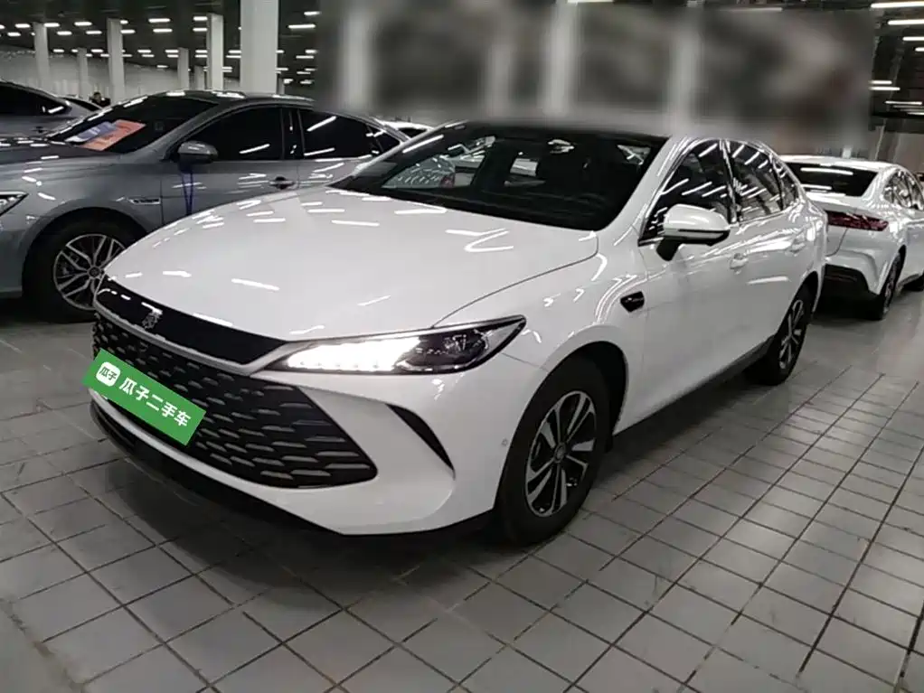 BYD Qin PLUS 2025 DM-i Smart Drive Edition 120KM Surpassing Type