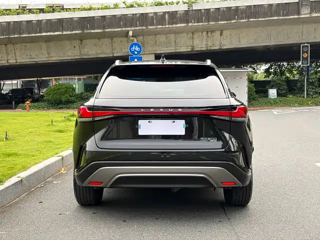 Lexus RX 2025 300 4WD Premium Edition — фото 5