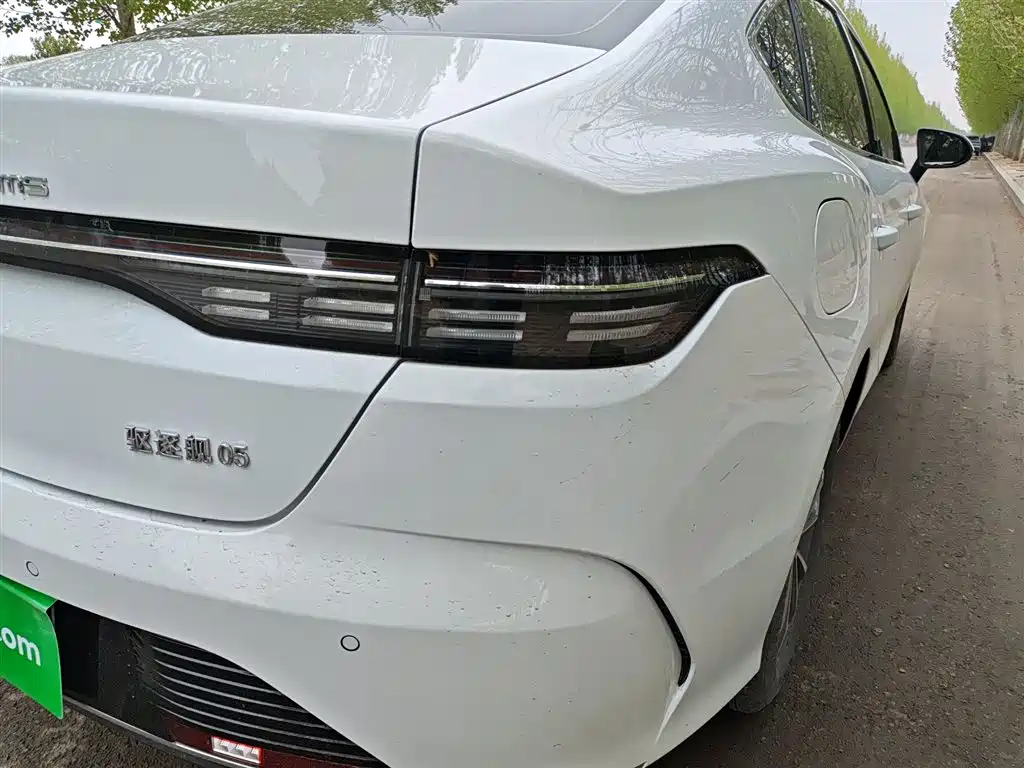 BYD Destroyer 05 2024 Glory Edition DM-i 55KM Luxury фото 24