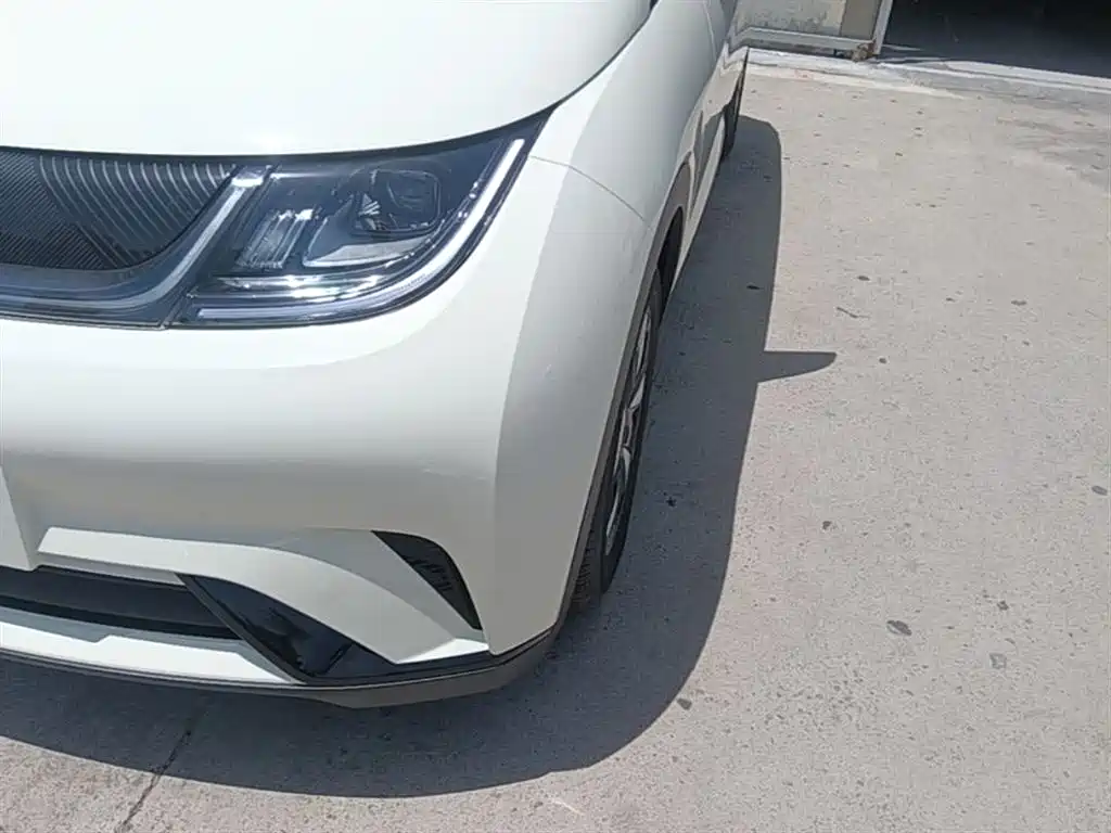 BYD Dolphin 2024 Glory Edition 420km Freedom Edition фото 24