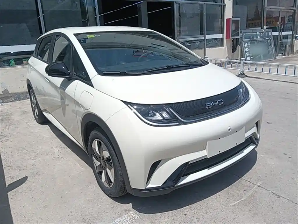 BYD Dolphin 2024 Glory Edition 420km Freedom Edition фото 4