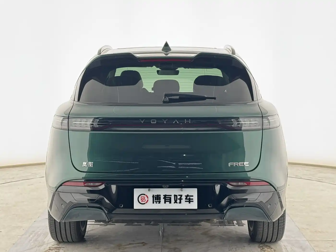 Voyah Auto VOYAH FREE 2025 318 318km RWD Touring Edition фото 7