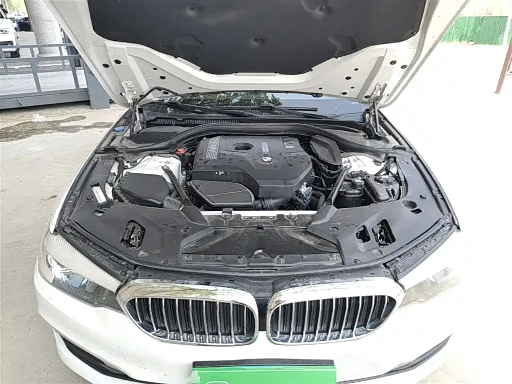 BMW 5 Series 2018 528Li Launch Special Edition фото 16