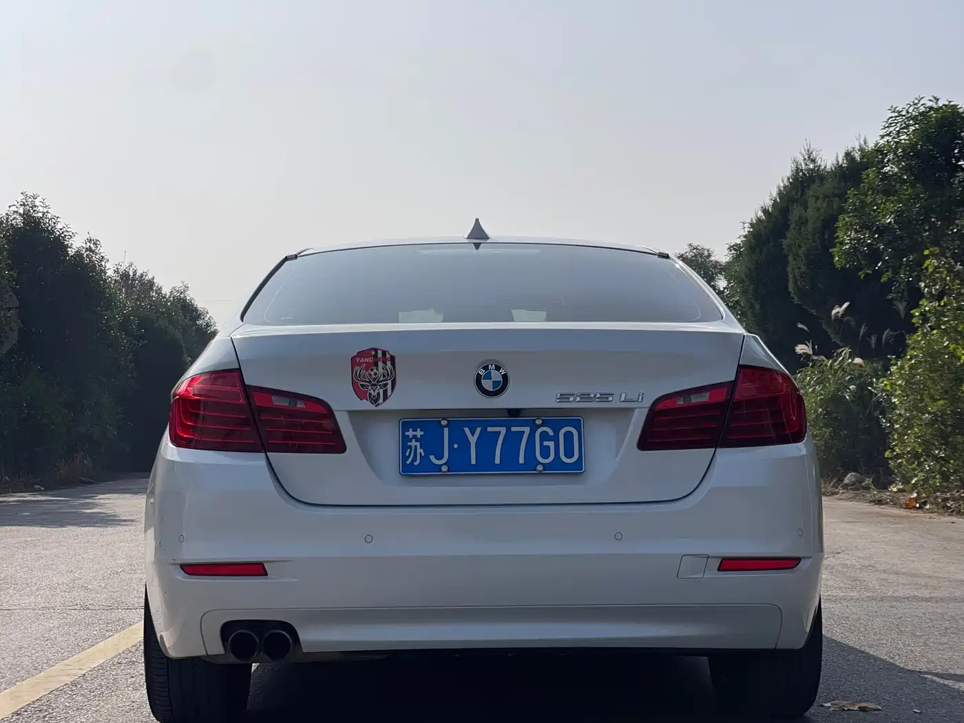 BMW 5 Series 2014 525Li Leading фото 6