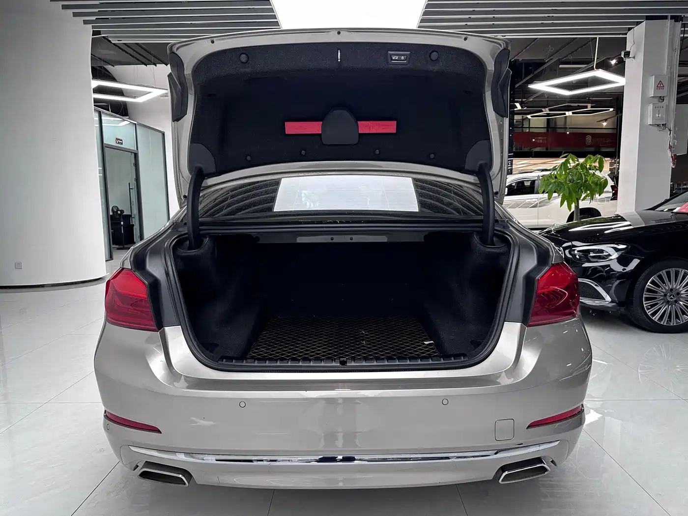 BMW 5 Series 2020 530Li Leading Luxury Package фото 15