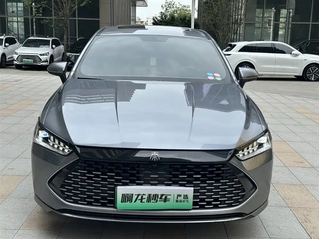 BYD Qin PLUS 2021 DM-i 55KM Flagship фото 3