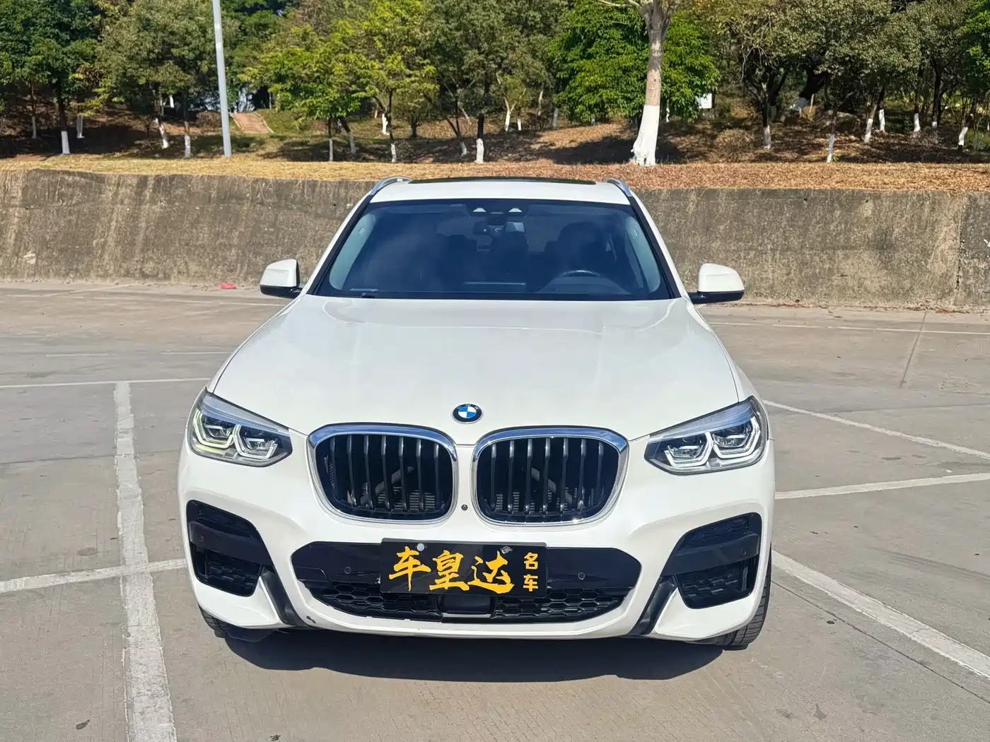 BMW X3 2021 xDrive30i Leading M Sport Package фото 3