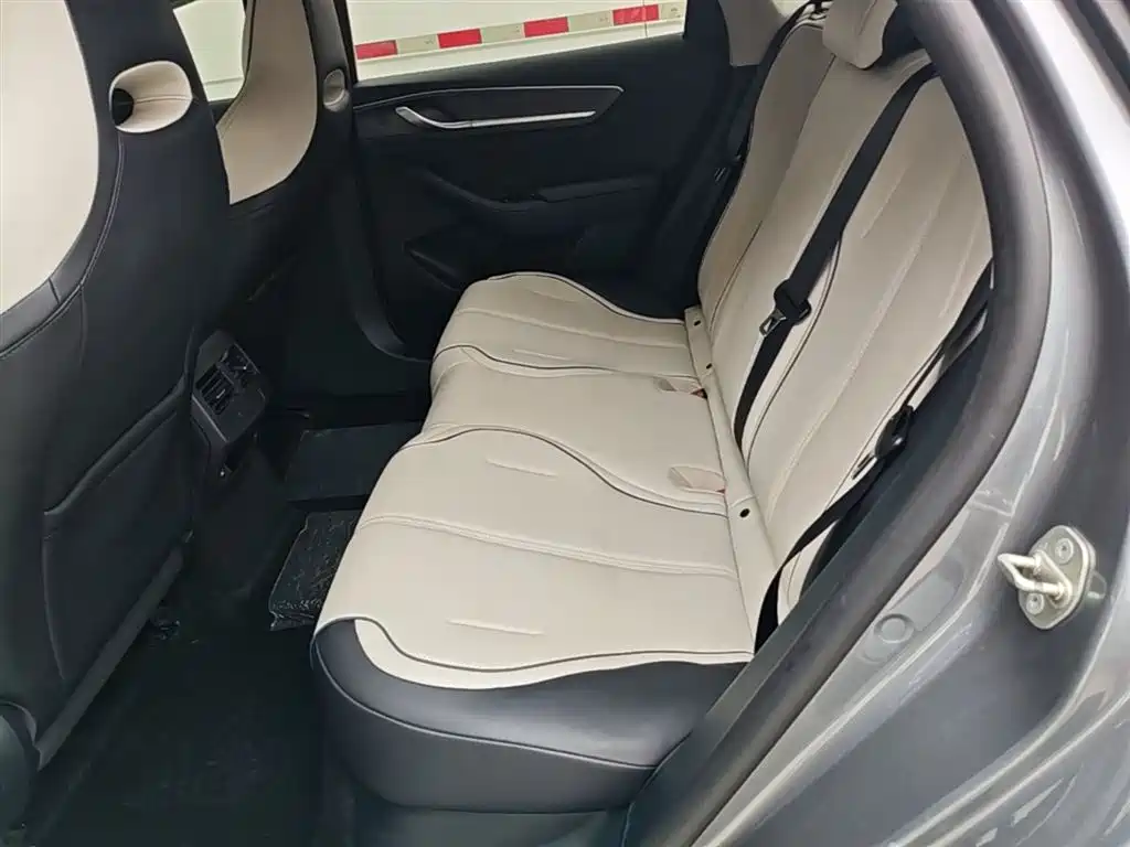 BYD Destroyer 05 2023 Champion Edition DM-i 55KM Luxury фото 17