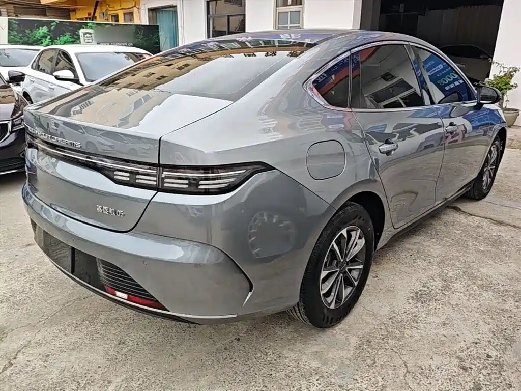 BYD Destroyer 05 2023 Champion Edition DM-i 55KM Luxury фото 7