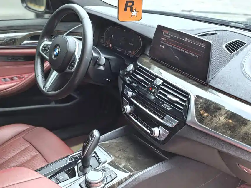 BMW 5 Series 2020 530Li Leading M Sport Package фото 7
