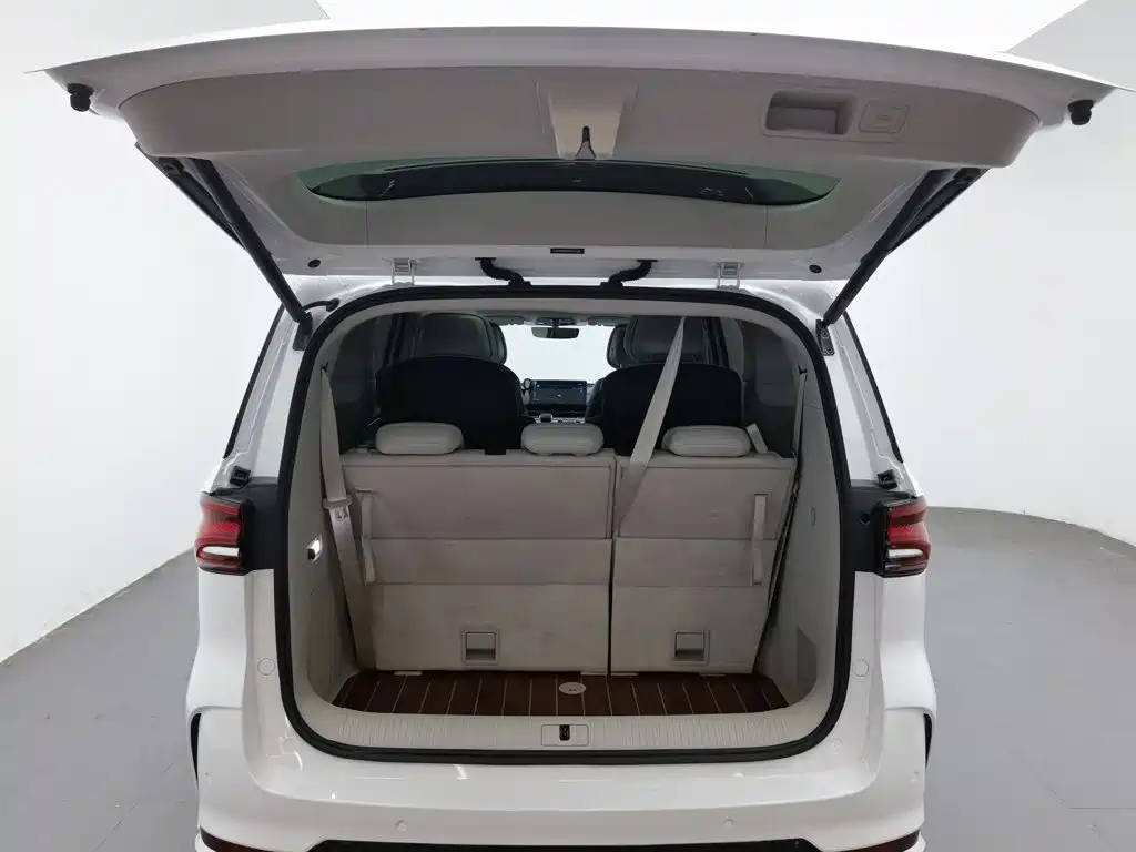 Roewe iMAX8 2021 2022 400TGI Gathering Edition