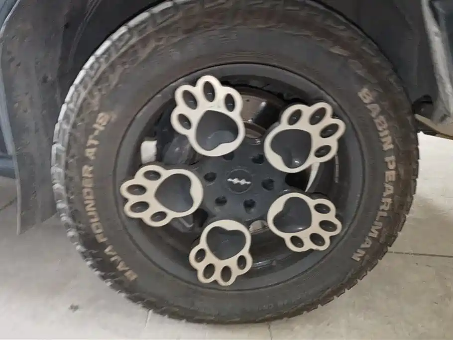 FANG CHENG BAO LEOPARD 5