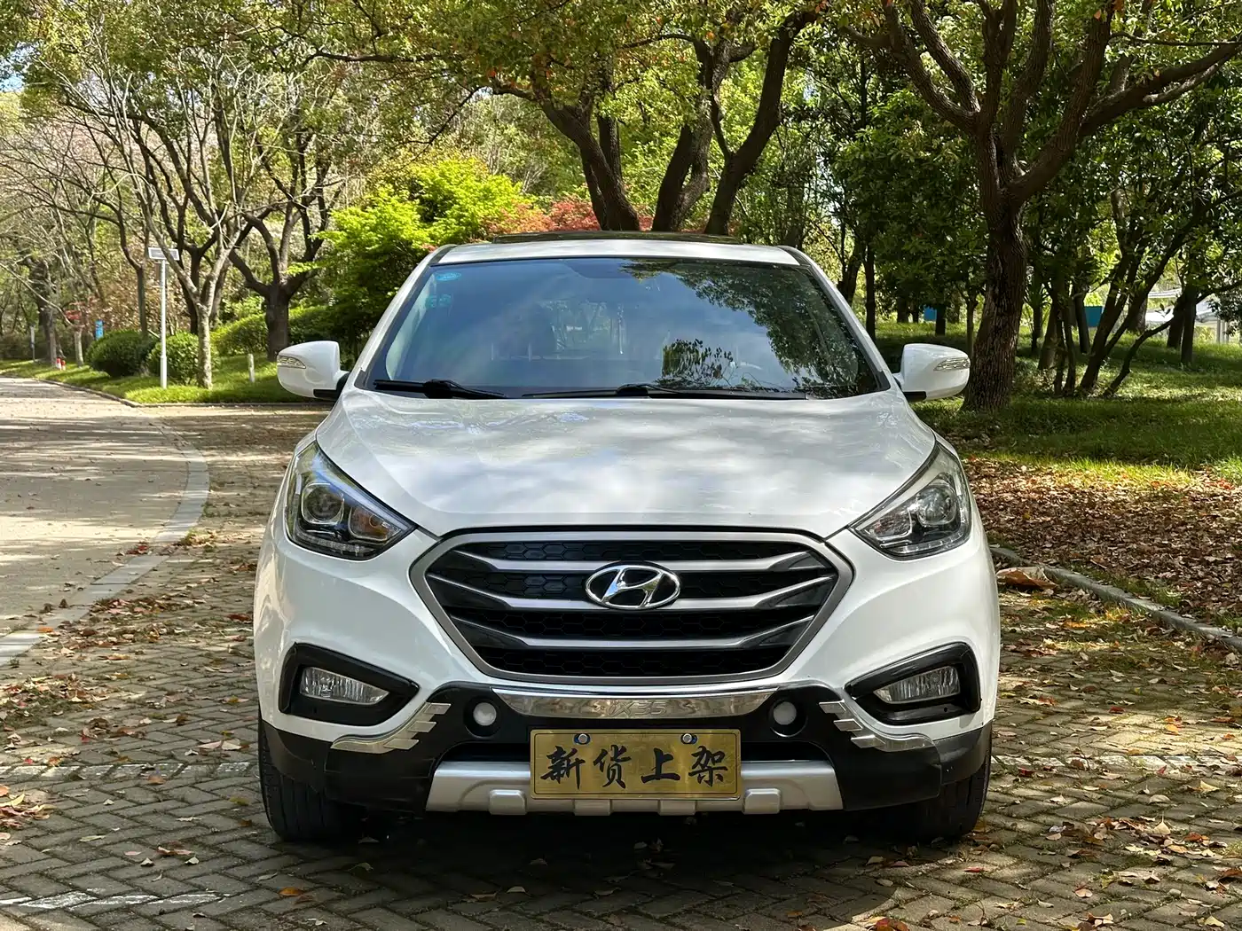 Hyundai Beijing Hyundai ix35 2013 2.0L Automatic 2WD Comfort GL China V фото 2