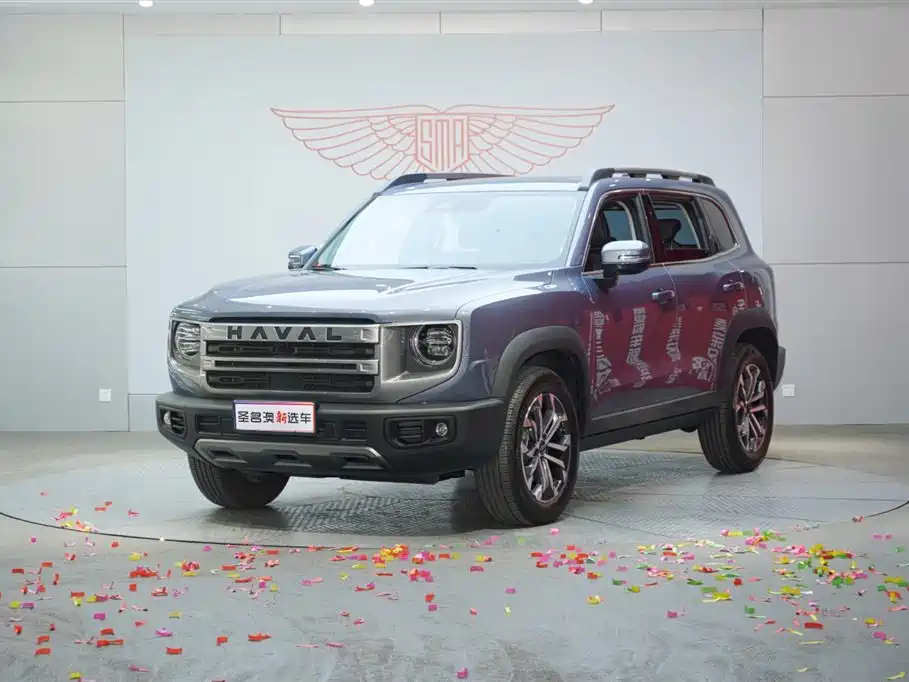 Haval Big Dog 2024 1.5T DCT Border Collie Edition