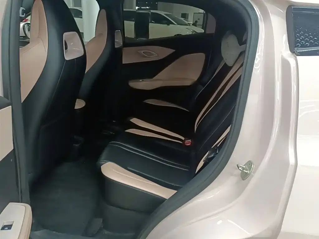 BYD Seagull 2023 Freedom Edition фото 17
